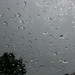 rain by winshez