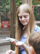 17th Jun 2014 - Feeding the Birds