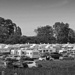Campers - Black & White Fortnight - humanity by judithdeacon