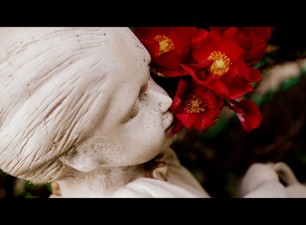 Day 168:  Smelling the Roses by sheilalorson