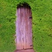 oooohhhhh secret door! by gigiflower