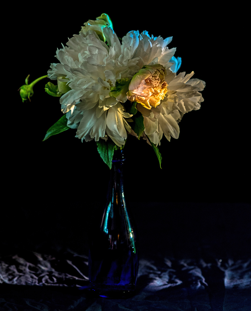 Peonies and Blue Vase by tosee