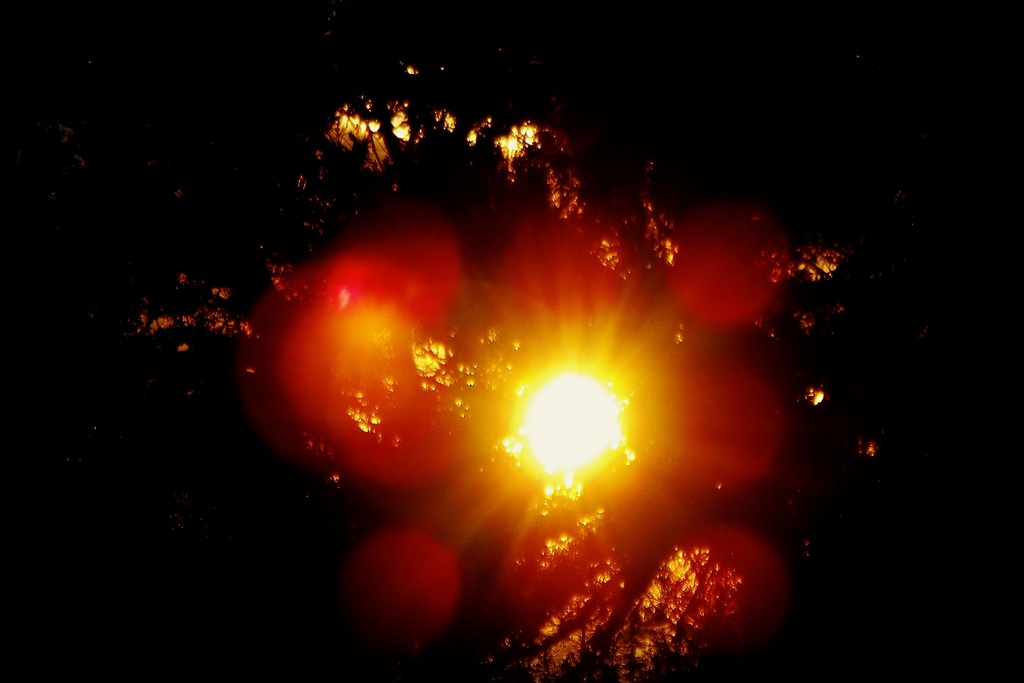Sun Burst by maggiemae