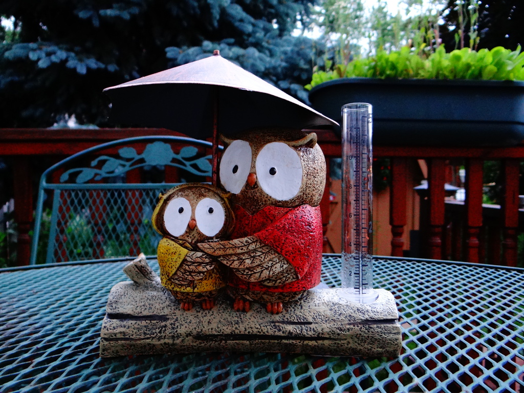 The Anderson Weather Owls by brillomick