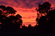 19th Jun 2014 - Another colourful sunrise