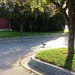 Duck walk by edorreandresen