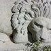 Lion around by edorreandresen