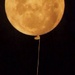Moon on a String by jesperani