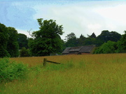 18th Jun 2014 - A country scene in Shropshire.