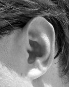 19th Jun 2014 - June 19: Humanity and ear and listening