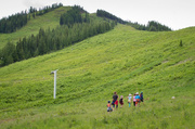 19th Jun 2014 - Hiking up Red Mountain