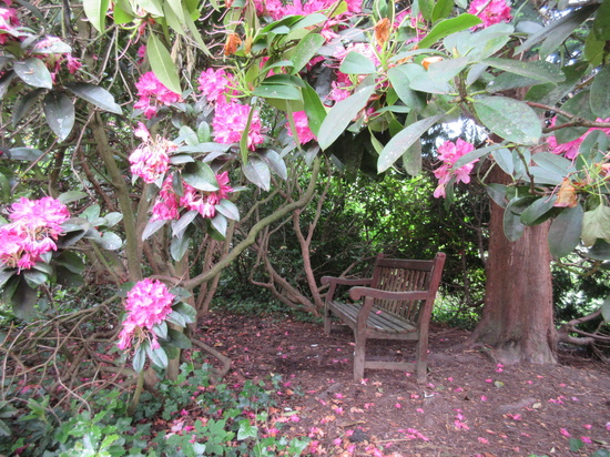 Hidden bench by sarahhorsfall