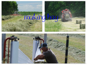 10th Jun 2014 - Making Hay - While the Sun Shines!