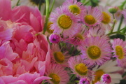 9th Jun 2014 - Spring Bouquet 