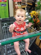 12th Jun 2014 - She loved riding in the grocery cart for the first time with daddy. 