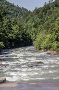 19th Jun 2014 - Ocoee River 