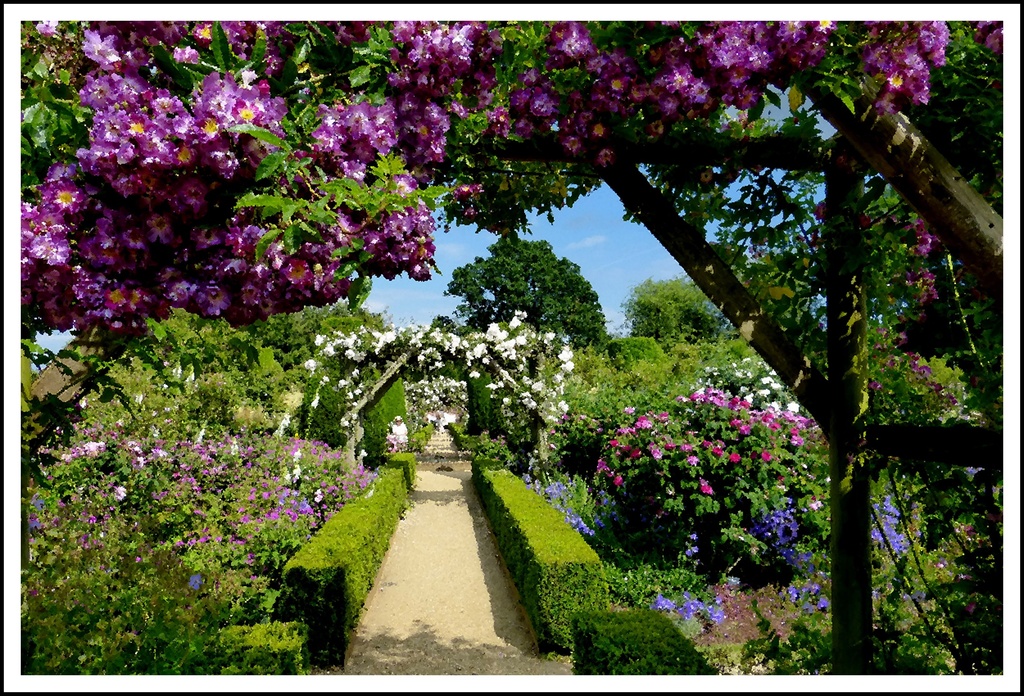 rose arches in Mottisfont walled garden by quietpurplehaze