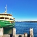 Manly ferry by goosemanning