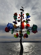23rd Nov 2012 - Wind Art Along Lake Washington