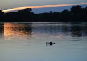 21st Jun 2014 - Kansas River Float