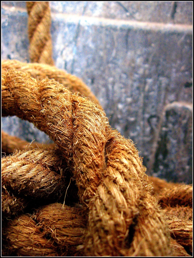 Rope in a Garbage Can by olivetreeann