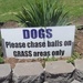For Dog Owners! by happysnaps