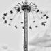 Fairground Dandelion Clock by jesperani