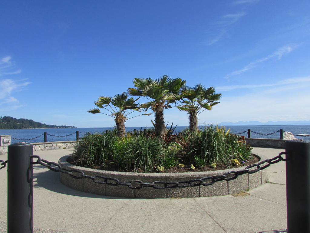 Downtown Beachside Walk by pamelaf