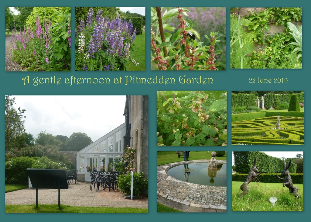 Pitmedden Garden collection by sarah19
