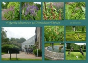 23rd Jun 2014 - Pitmedden Garden collection
