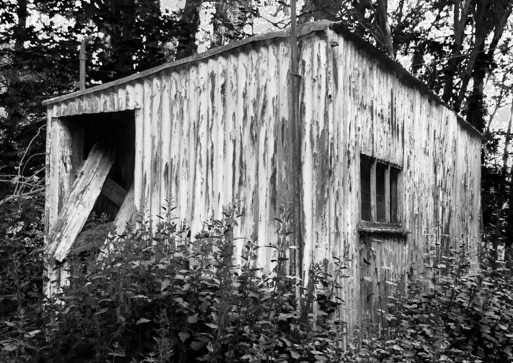 tin shed by sjc88