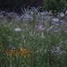 Wildflower Wonderland by kareenking