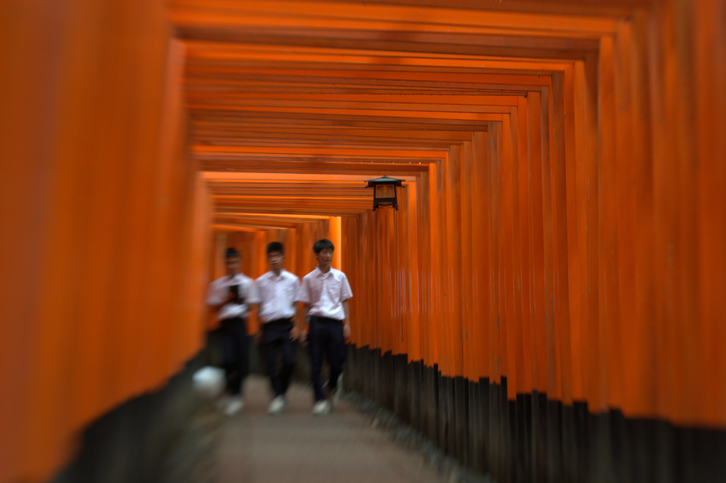 torii tunnel walk by vankrey