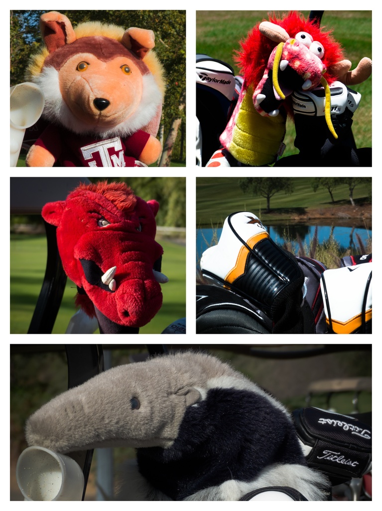 Headcovers  by stray_shooter