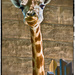 21 June 2014 - World Giraffe Day by annied