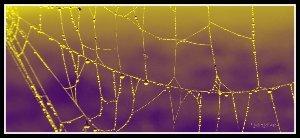 psychedelic cobweb by julzmaioro
