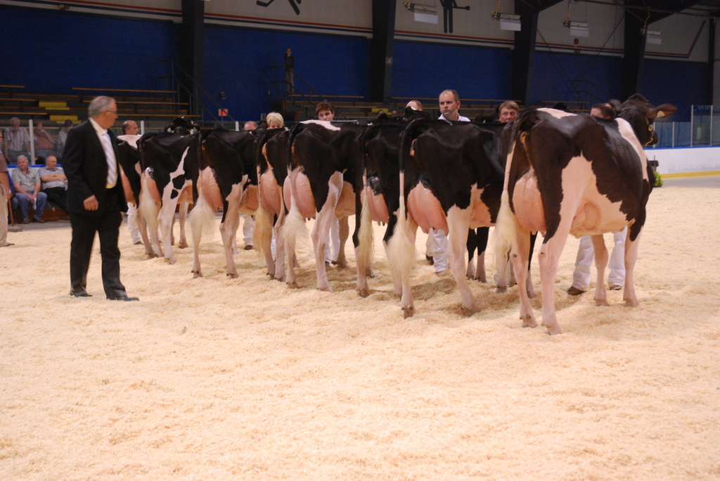 2014 Maxville Show by farmreporter