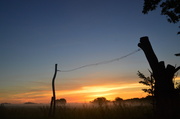 24th Jun 2014 - Welcoming a Kansas Sunrise