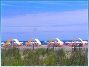 23rd Jun 2014 - Sunny Day at Cape May