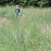Tall Grass by julie