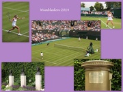 25th Jun 2014 - Day out at Wimbledon