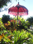 26th Jun 2014 - Letter Box Umbrella.