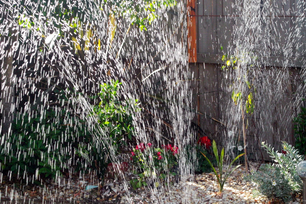 Sprinkler magic by marguerita