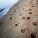 Footprints by marguerita