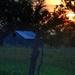 Barn at Daybreak by kareenking