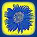 Yellow and Blue Make Green - Extreme Sunflower by genealogygenie