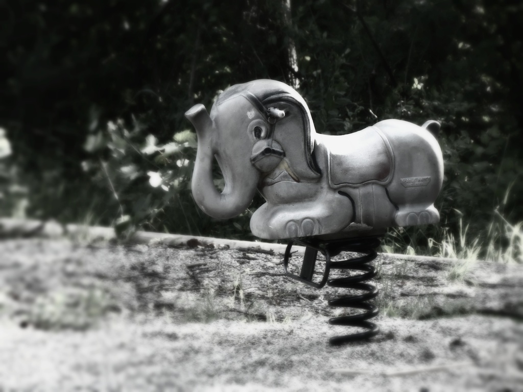 I Saw an Elephant in the Park Today by juliedduncan