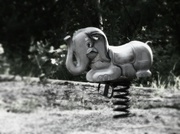 27th Jun 2014 - I Saw an Elephant in the Park Today