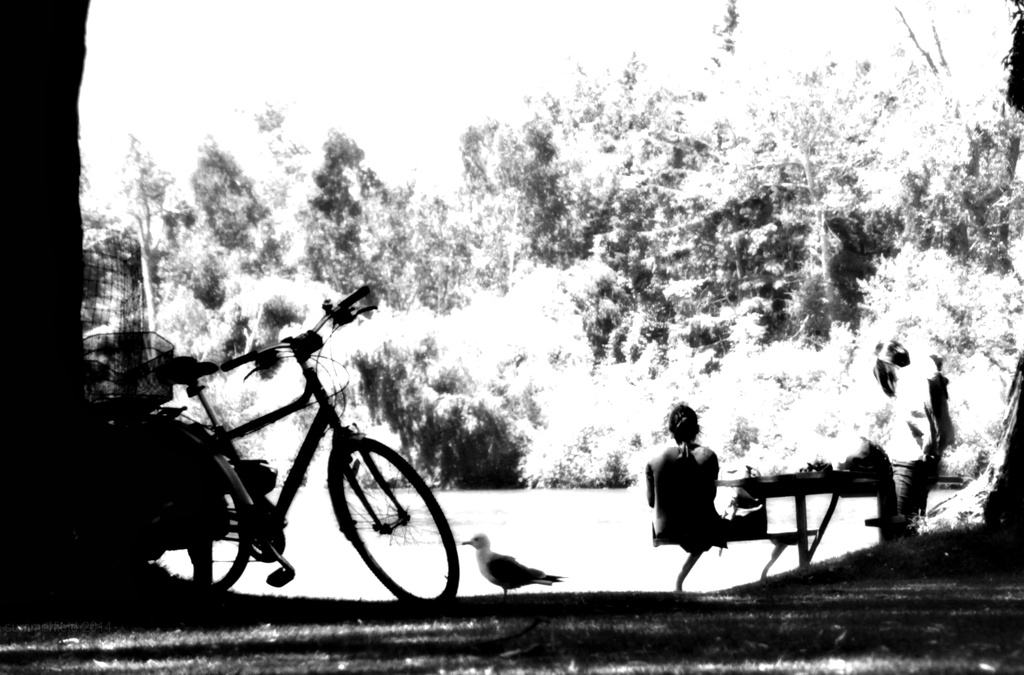 bicycles and picnic by the water by summerfield