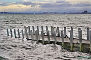 26th Jun 2014 - Wild weather breaks piers